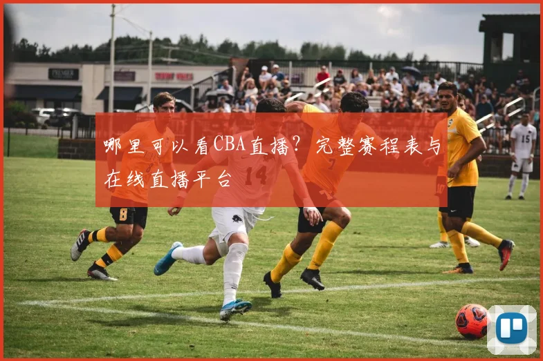哪里可以看CBA直播？完整赛程表与在线直播平台